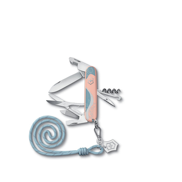 Companion Paris Style