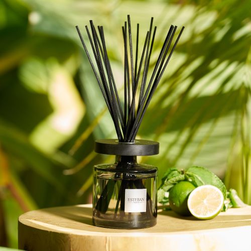 200ml Scented Bouquet Ellipse | Eau D’amazonie