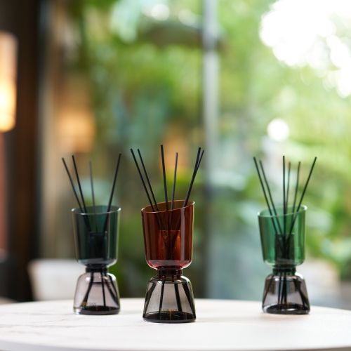 Iconic Color Refillable Scented bouquet 250ml Teck & Tonka