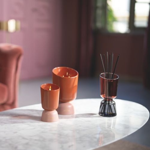 Iconic Color Refillable Scented bouquet 250ml Teck & Tonka