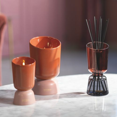 Iconic Color Refillable Scented bouquet 250ml Teck & Tonka