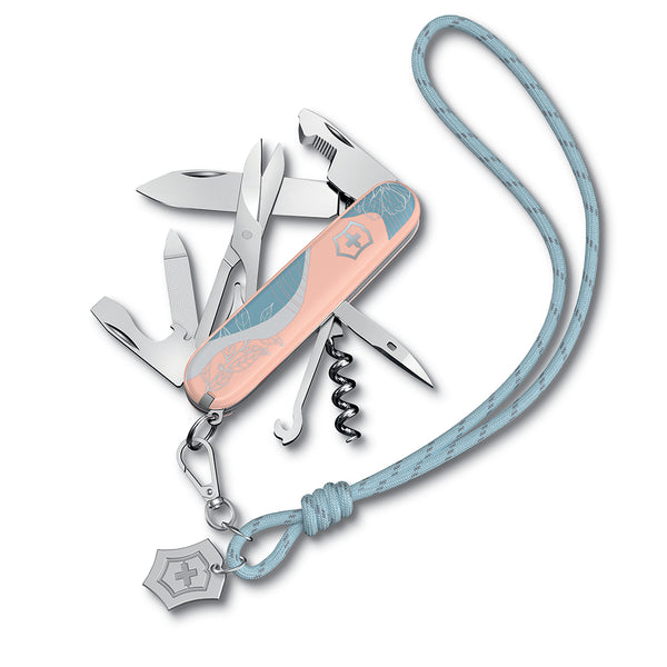 Companion Paris Style