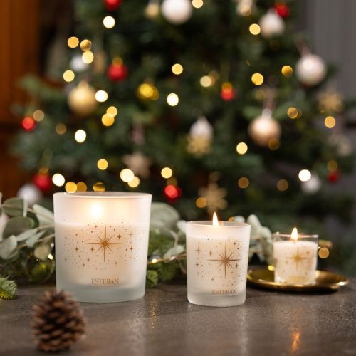 450gr Scented Candle Christmas Edition | Exquisite Fir