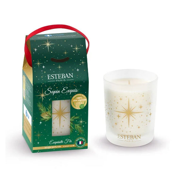 180gr Exquisite Fir 2024 | Candle