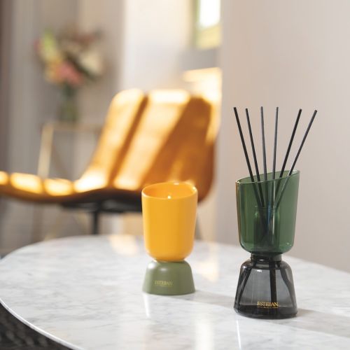 Iconic Color Refillable scented Initial candle 220g Ambre