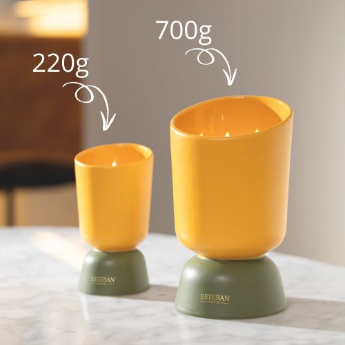 Iconic Color Refillable scented Initial candle 220g Ambre