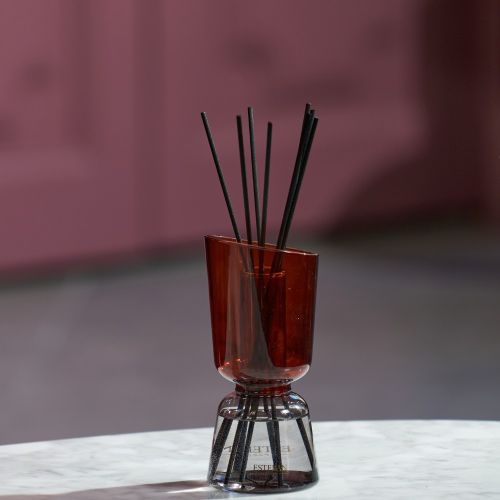 Iconic Color Refillable Scented bouquet 250ml Teck & Tonka